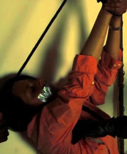 Первичный инстинкт