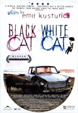 Черная кошка, белый кот