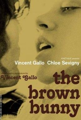 The Brown Bunny Chloe Sevigny