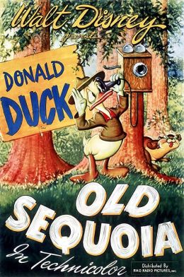 Дональд Дак: Старая секвойя