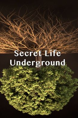 Тайна подземной жизни