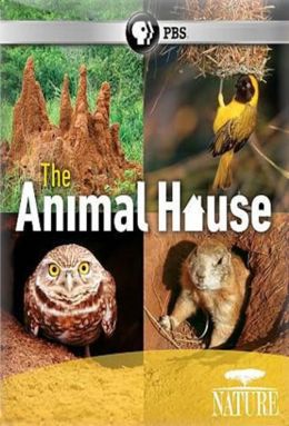 PBS Природа - Дом животных