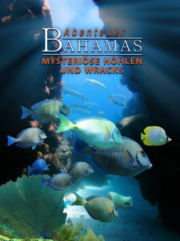 Багамские острова 3D: Таинственные пещеры и затонувшие корабли