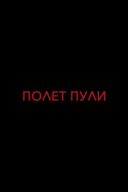 Полет пули