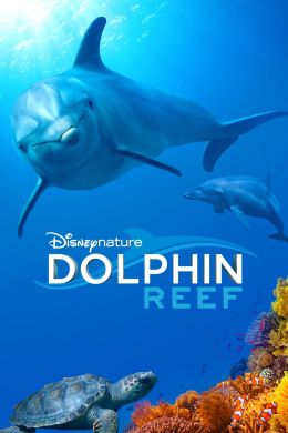 Дельфиний риф