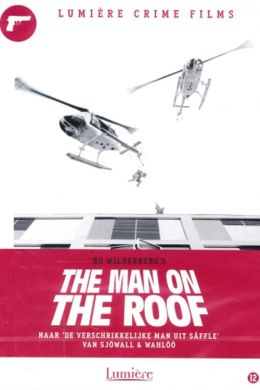 Человек на крыше