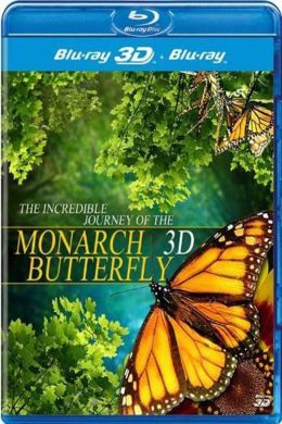 Невероятное путешествие бабочек Монарх
