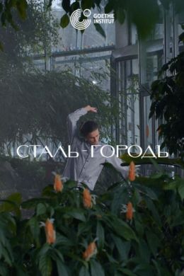 Сталь-Городъ