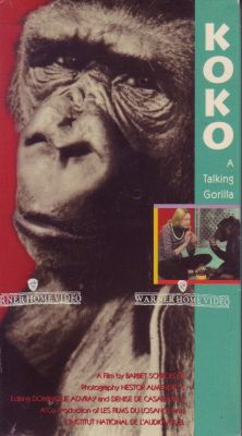 Коко, говорящая горилла