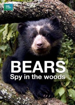 Медведь: Шпион леса
