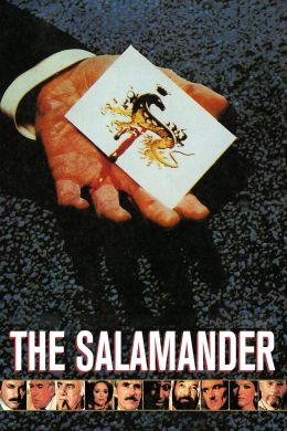 Саламандра
