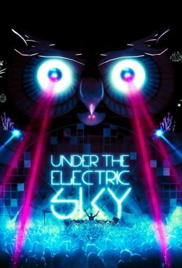 EDC 2013: Under the Electric Sky