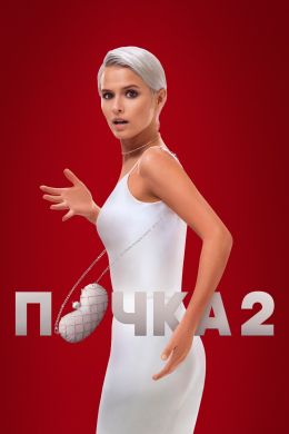 Почка S2 E3