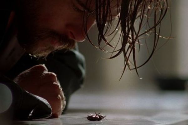 Не верь мне, милая!