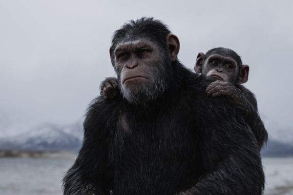 Что хорошего в том, что новый блокбастер «Планета обезьян: Война» предлагает болеть за обезьян и...