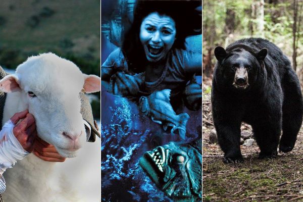 Враги наши меньшие: 7 хорроров о зловещих животных