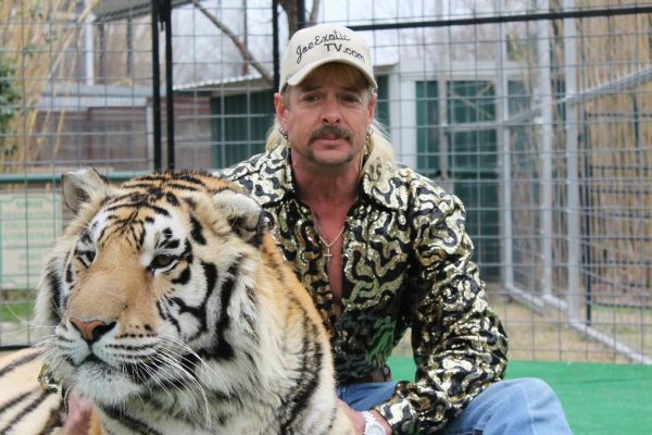 Make America Exotic Again: рецензия на сериал «Король тигров: Убийство, хаос и безумие»