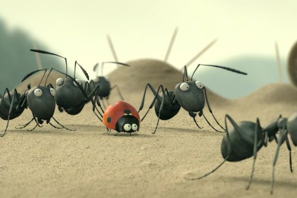 Фильмы про жуков