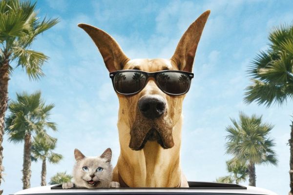 Фильмы про собак и кошек