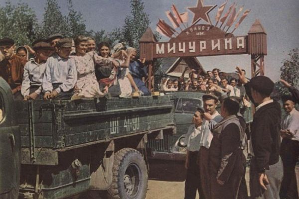 Советские фильмы про колхоз