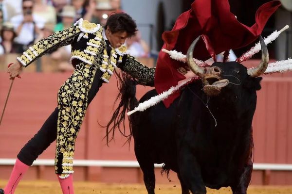 Фильмы про корриду