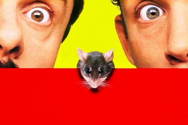 Лучшие малоизвестные семейные фильмы