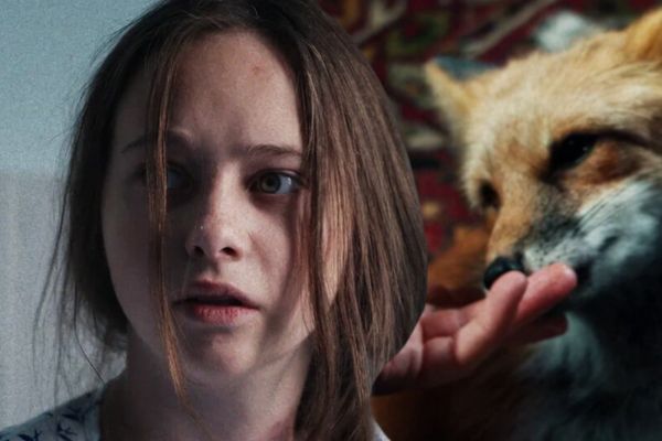 <p>На Okko вышли все серии «Как приручить лису»</p>
