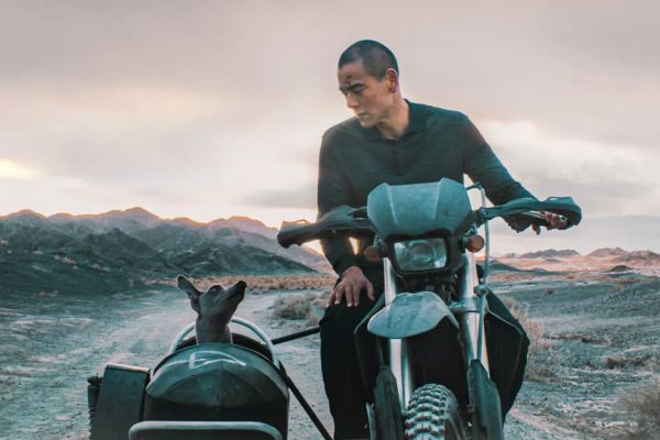 Фильмы про дружбу человека и собаки