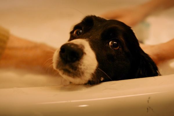 Просмотрено