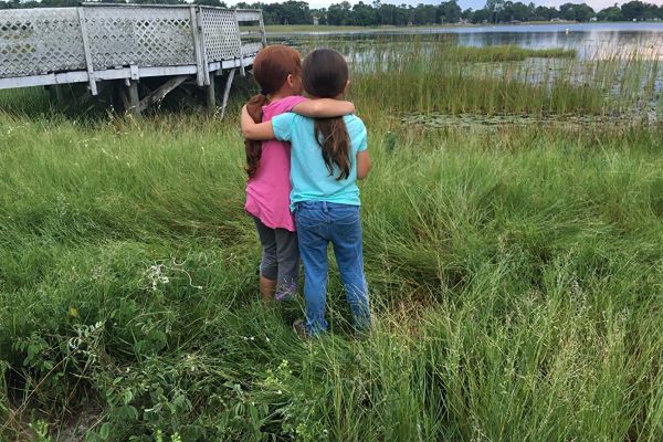 Просмотрено