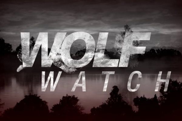 Будет смотреть