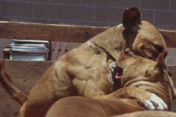 Просмотрено