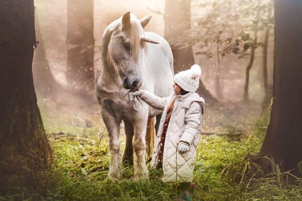 Просмотрено