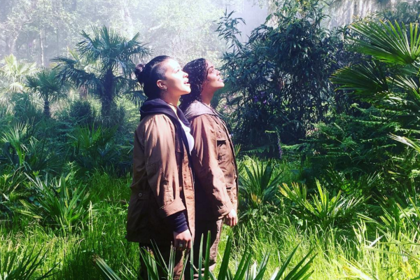 Просмотрено