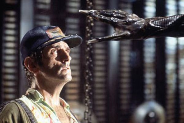 Просмотрено