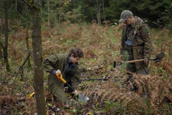 Просмотрено