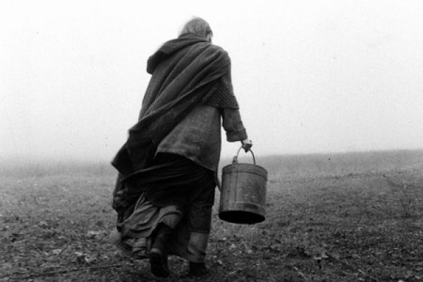 Просмотрено