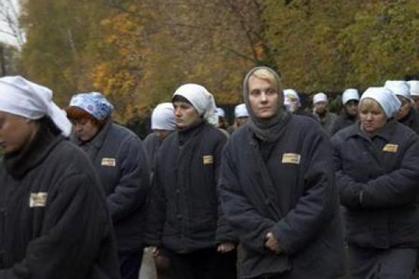 Просмотрено