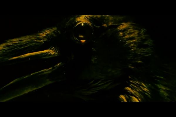 Просмотрено