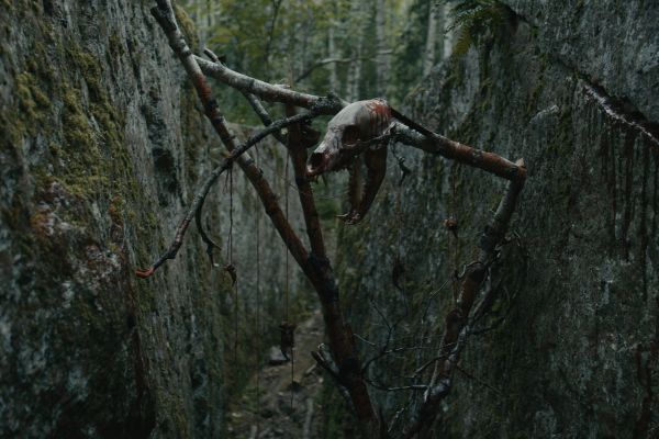 Просмотрено