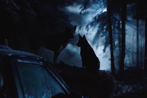 Просмотрено