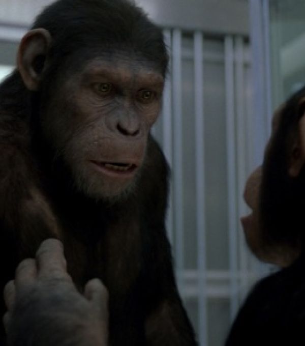 Планета обезьян 4 трейлер. Планета обезьян зоопарк калужское шоссе. Коба планета обезьян. Планета обезьян обезьяны вместе сила. Планета обезьян 4 с субтитрами.