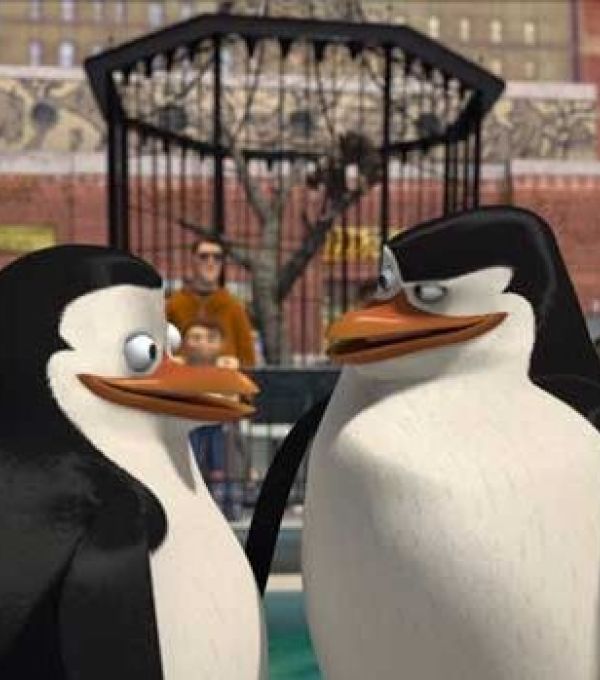 Пингвины мадагаскара 2008. Пингвины мадагаскара 2008. Penguins of madagascar 2008. Пингвины из мадагаскара 2008. Обожравшийся пингвин.