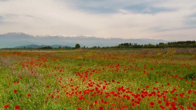 Апрель