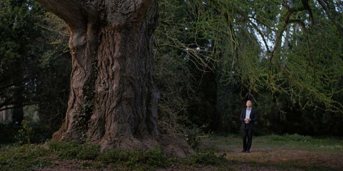 Молчаливый друг