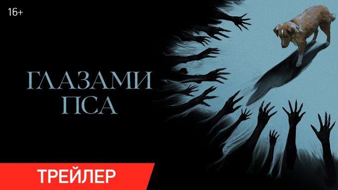 Глазами пса