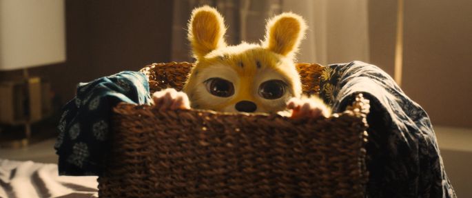 Марсупилами. Пушистый круиз