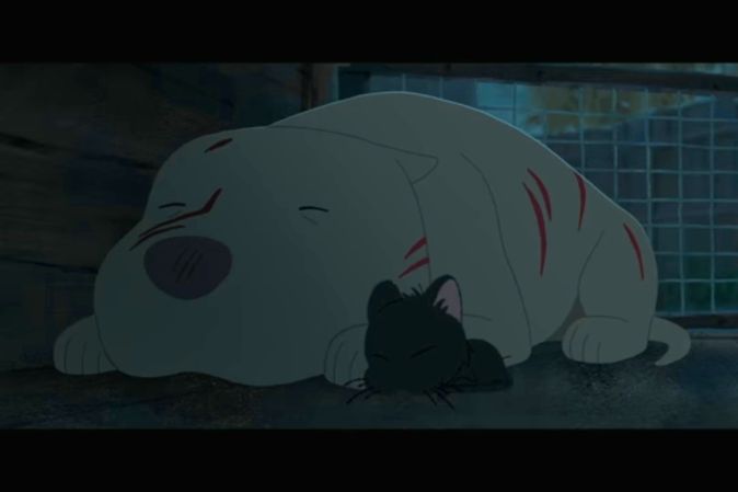 Котбуль