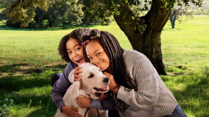 Щенячье счастье