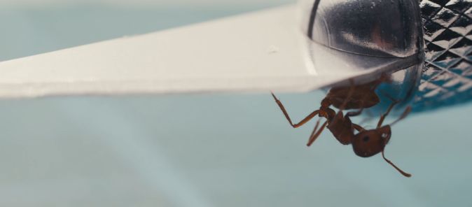 Порог маскировки